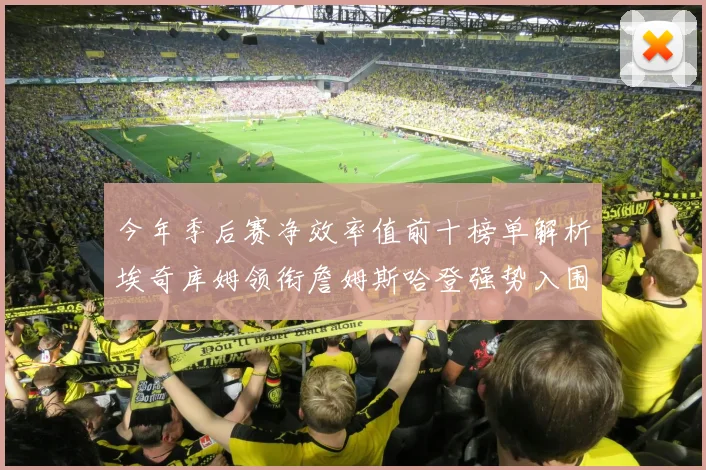 今年季后赛净效率值前十榜单解析埃奇库姆领衔詹姆斯哈登强势入围