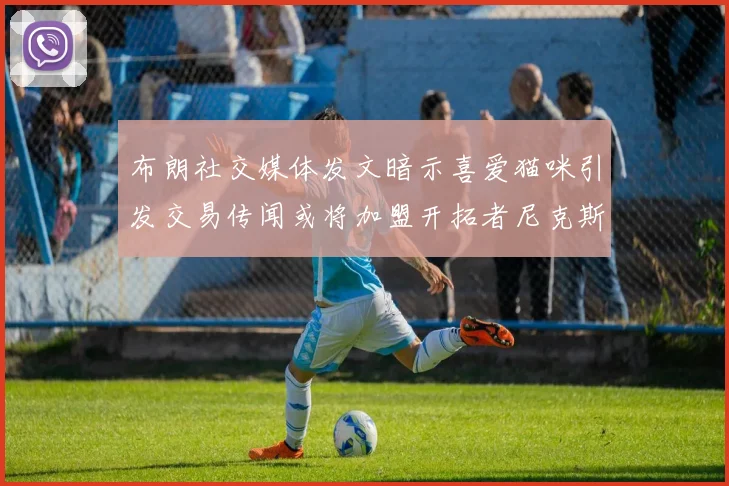 布朗社交媒体发文暗示喜爱猫咪引发交易传闻或将加盟开拓者尼克斯雷霆湖人