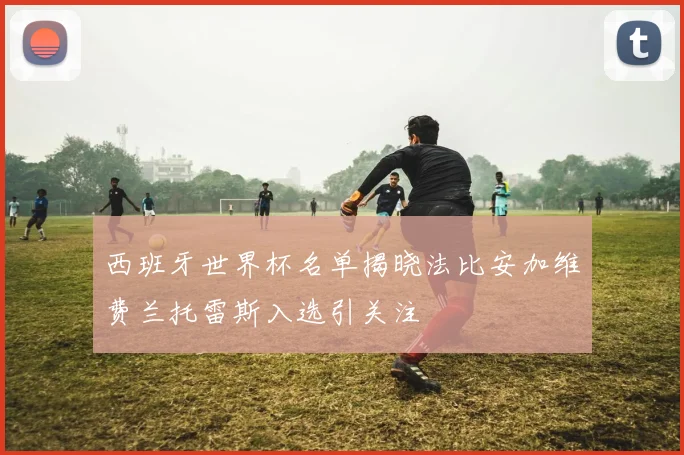 西班牙世界杯名单揭晓法比安加维费兰托雷斯入选引关注